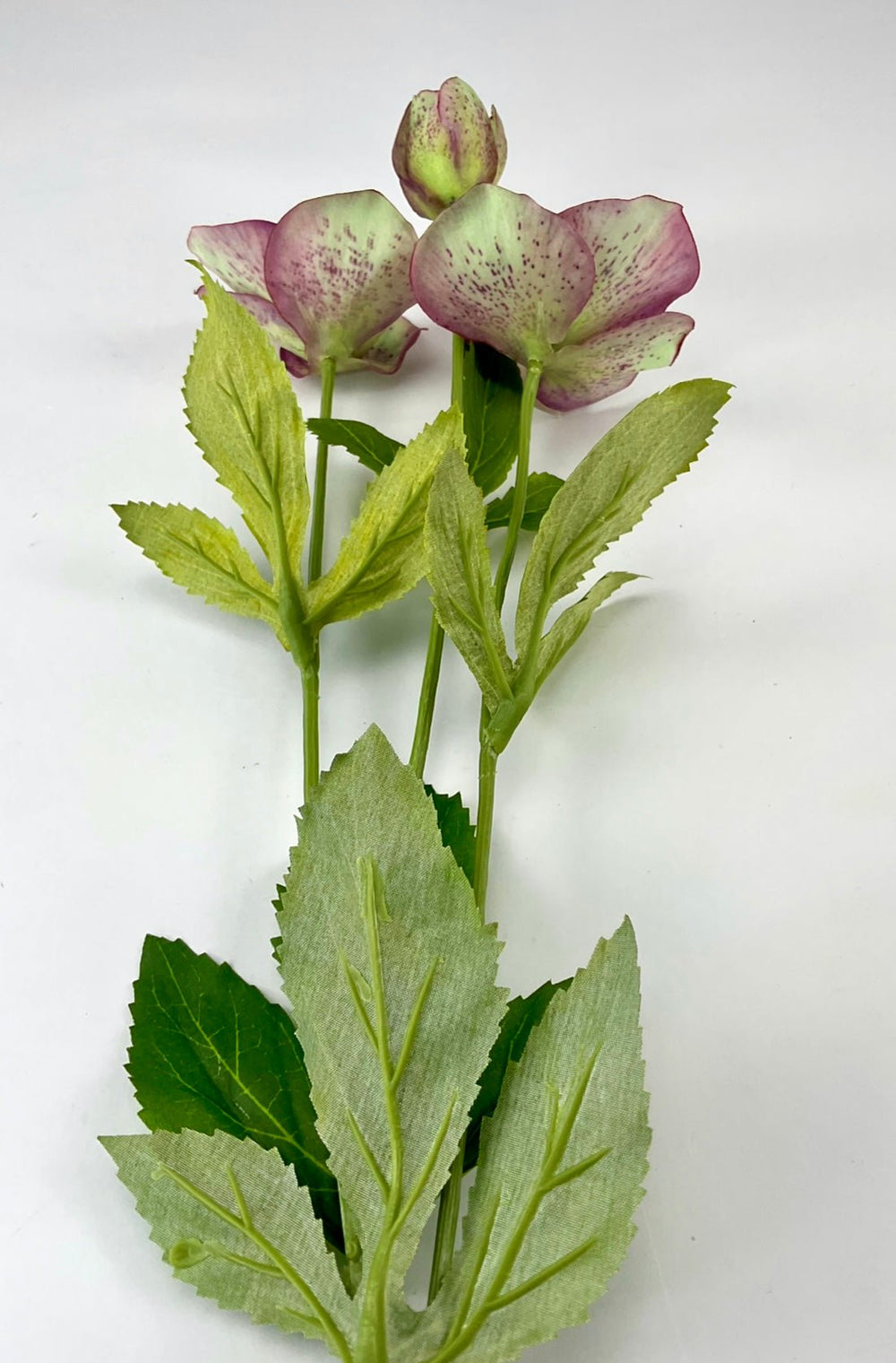 Hellebore artificial flower spray, fresh touch - Greenery Marketartificial flowers5099-plg