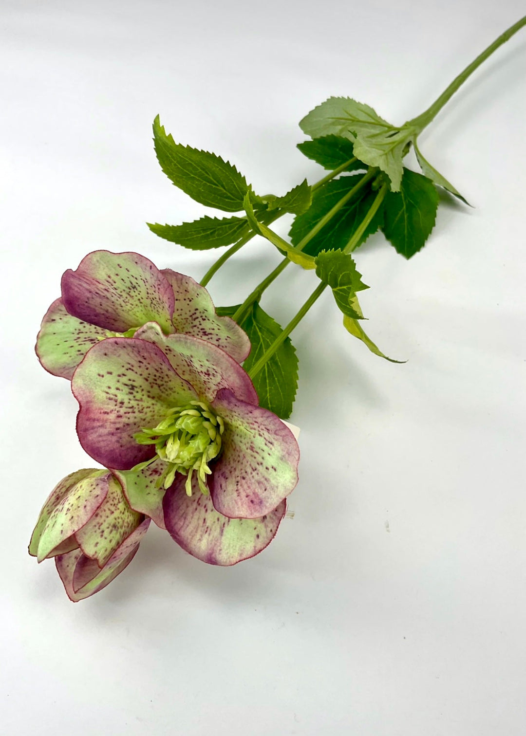 Hellebore artificial flower spray, fresh touch - Greenery Marketartificial flowers5099-plg