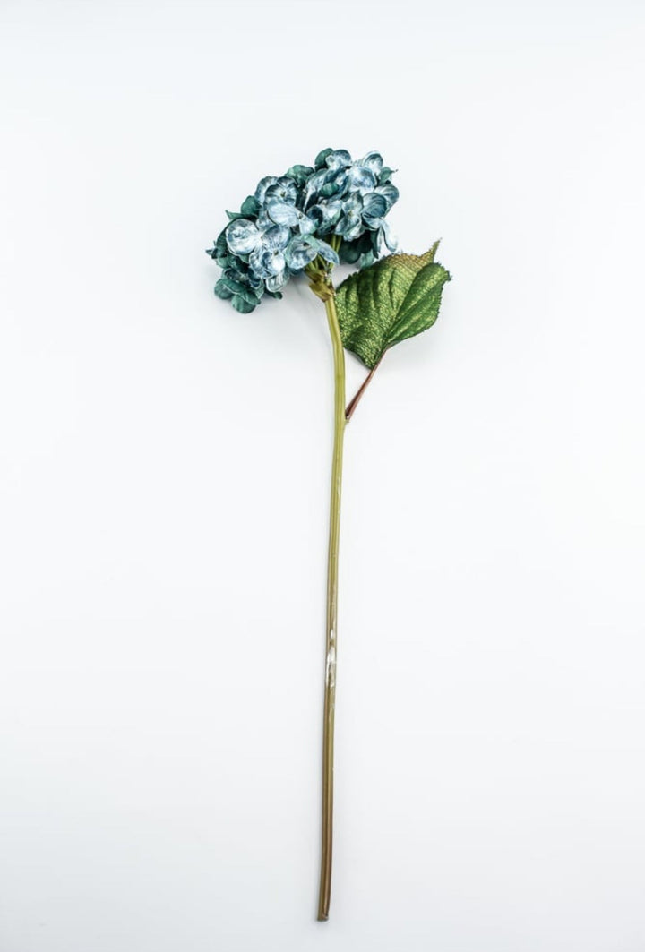 Holiday hydrangeas stem - turquoise - Greenery MarketXF647 - TL