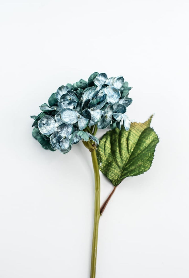 Holiday hydrangeas stem - turquoise - Greenery MarketXF647 - TL