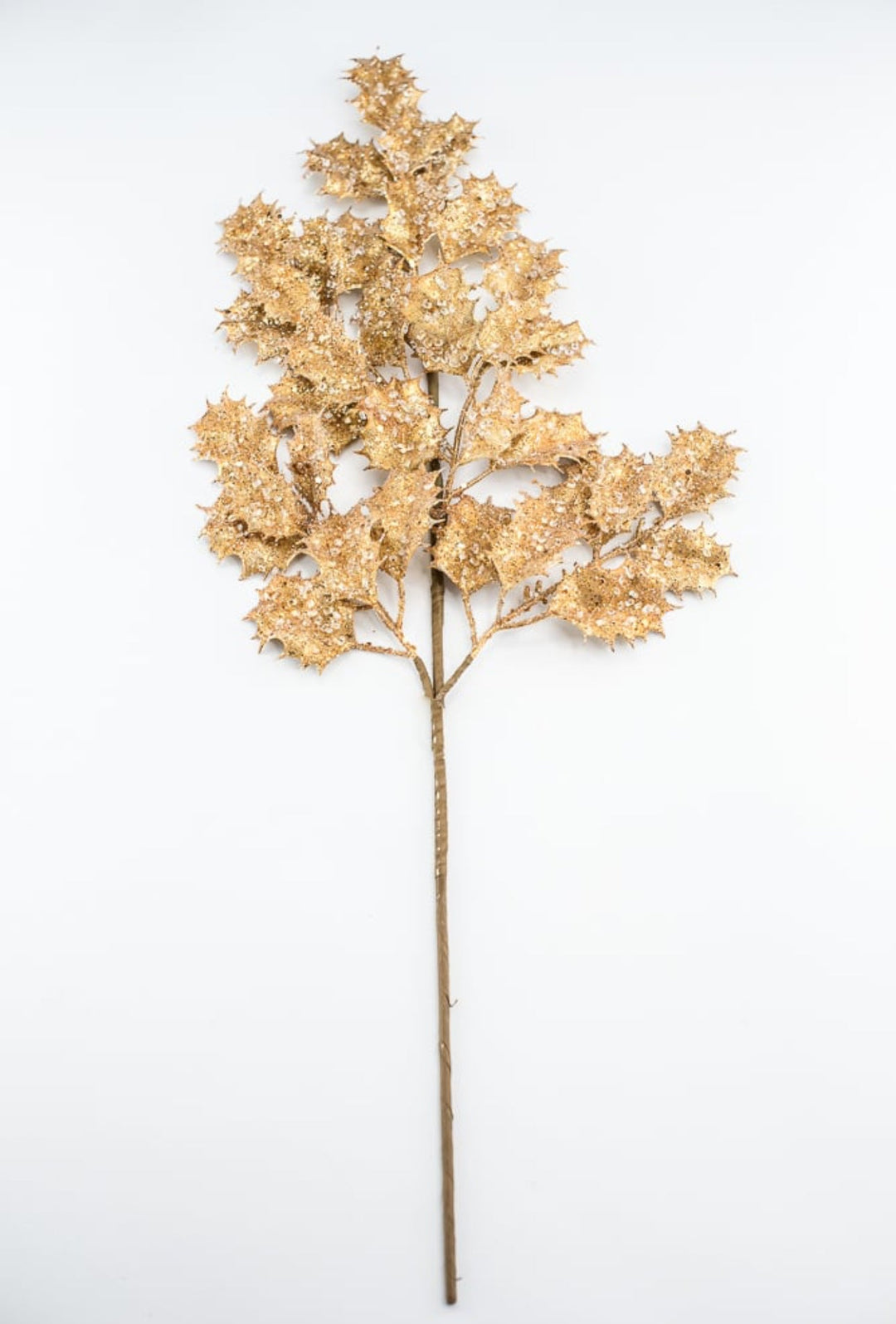 Holly in gold with ice spray - Greenery MarketMTX73481 gold