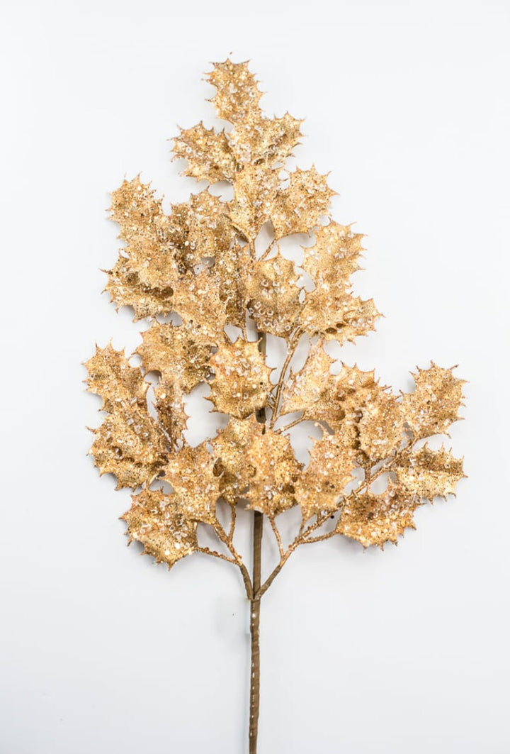 Holly in gold with ice spray - Greenery MarketMTX73481 gold