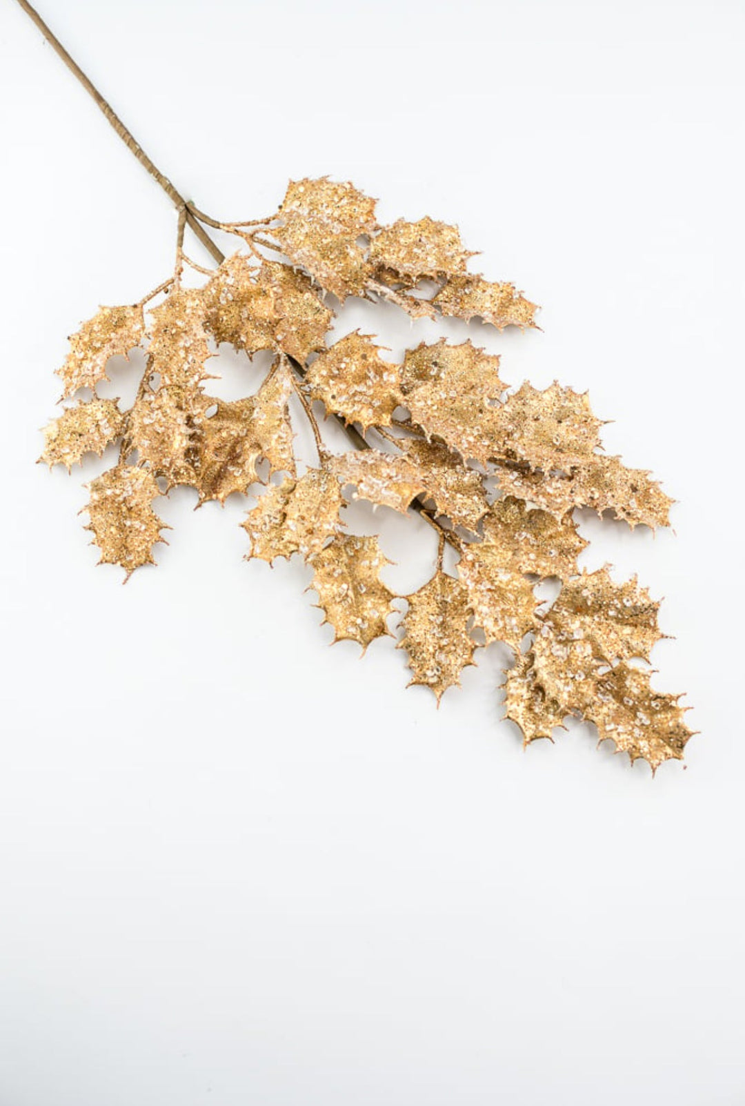 Holly in gold with ice spray - Greenery MarketMTX73481 gold