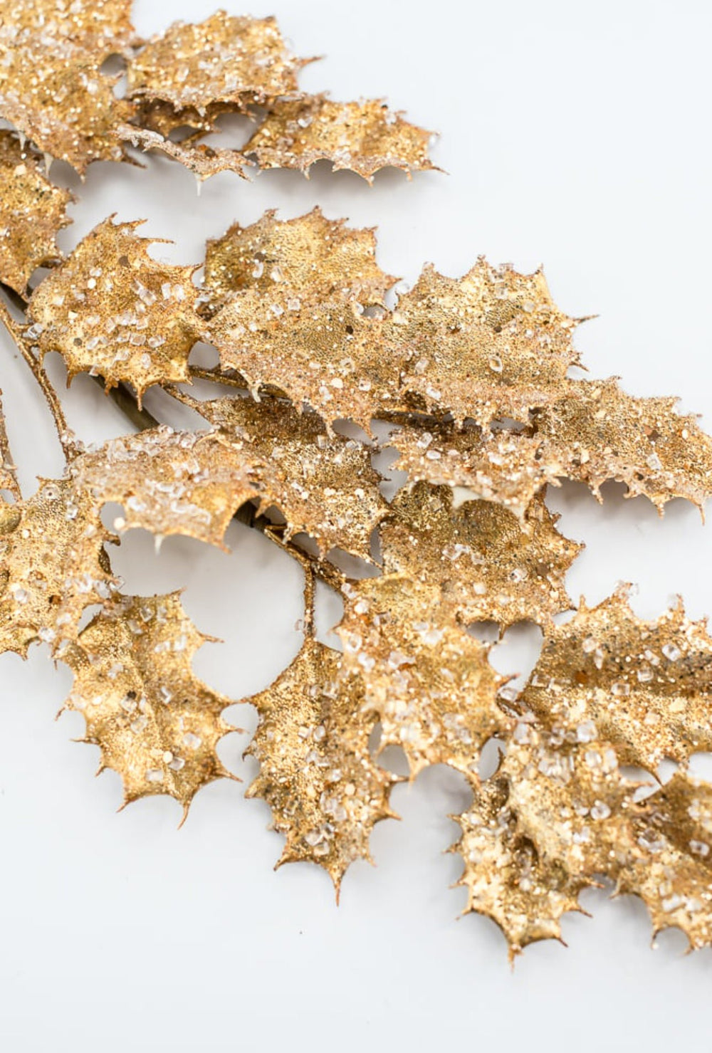 Holly in gold with ice spray - Greenery MarketMTX73481 gold