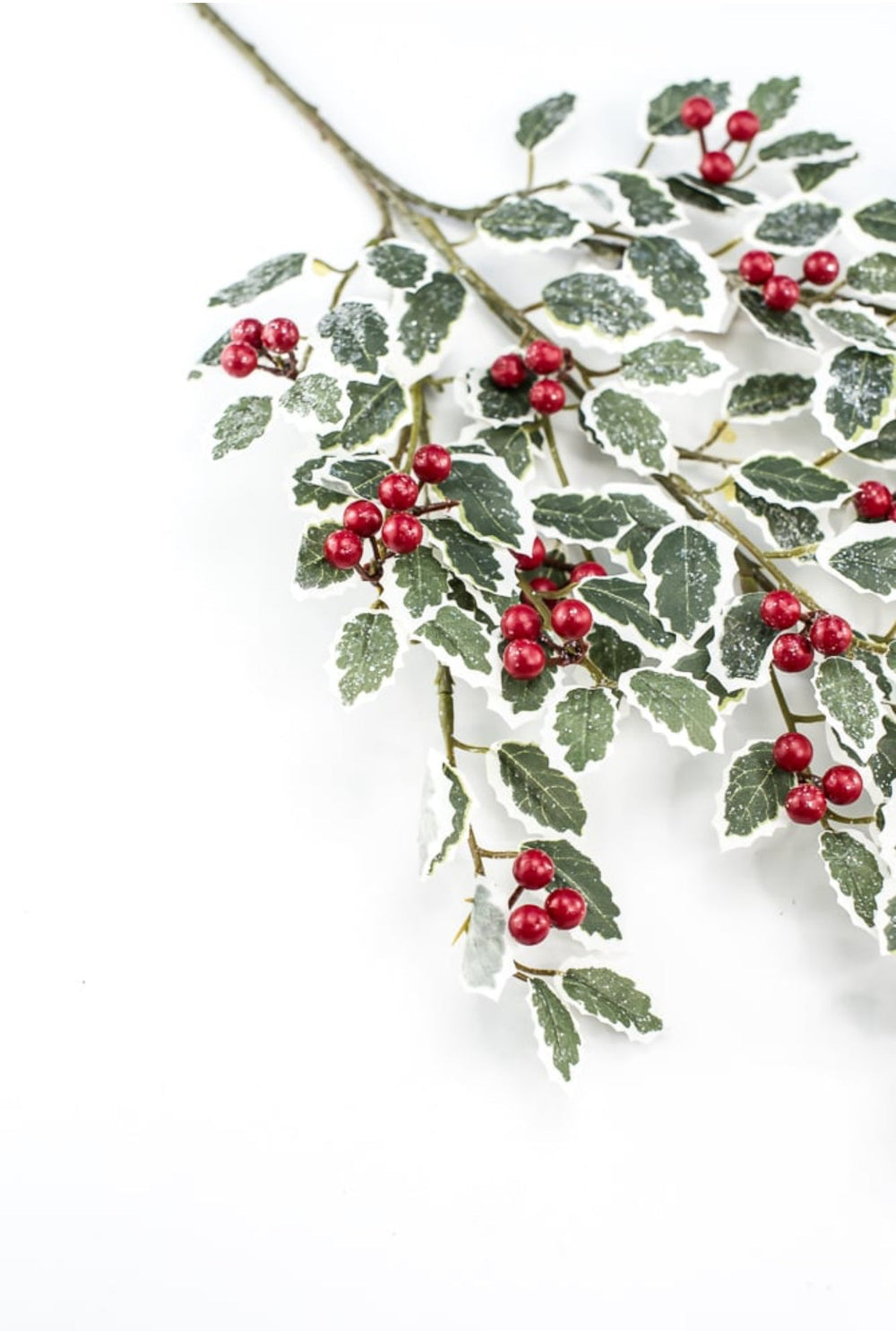 Holly spray - variegated - Greenery MarketArtificial Flora270489