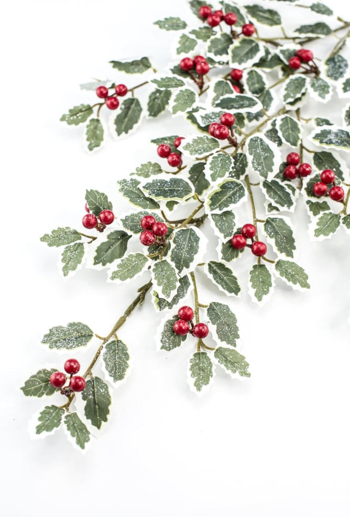 Holly spray - variegated - Greenery MarketArtificial Flora270489
