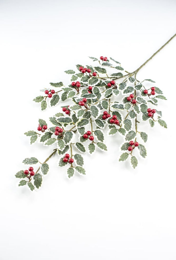 Holly spray - variegated - Greenery MarketArtificial Flora270489