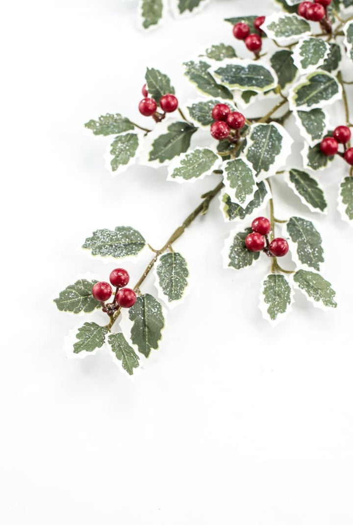 Holly spray - variegated - Greenery MarketArtificial Flora270489