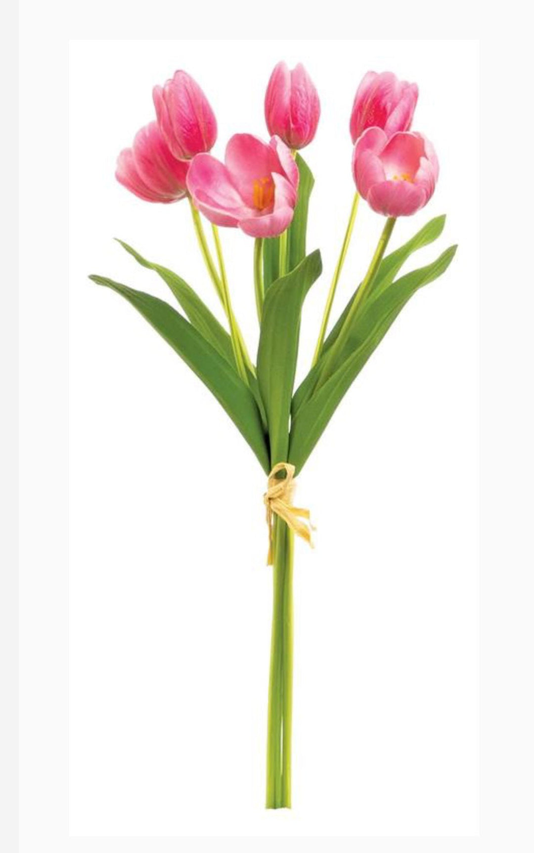 Hot pink life like tulip bundle - Greenery Market3876 - HP