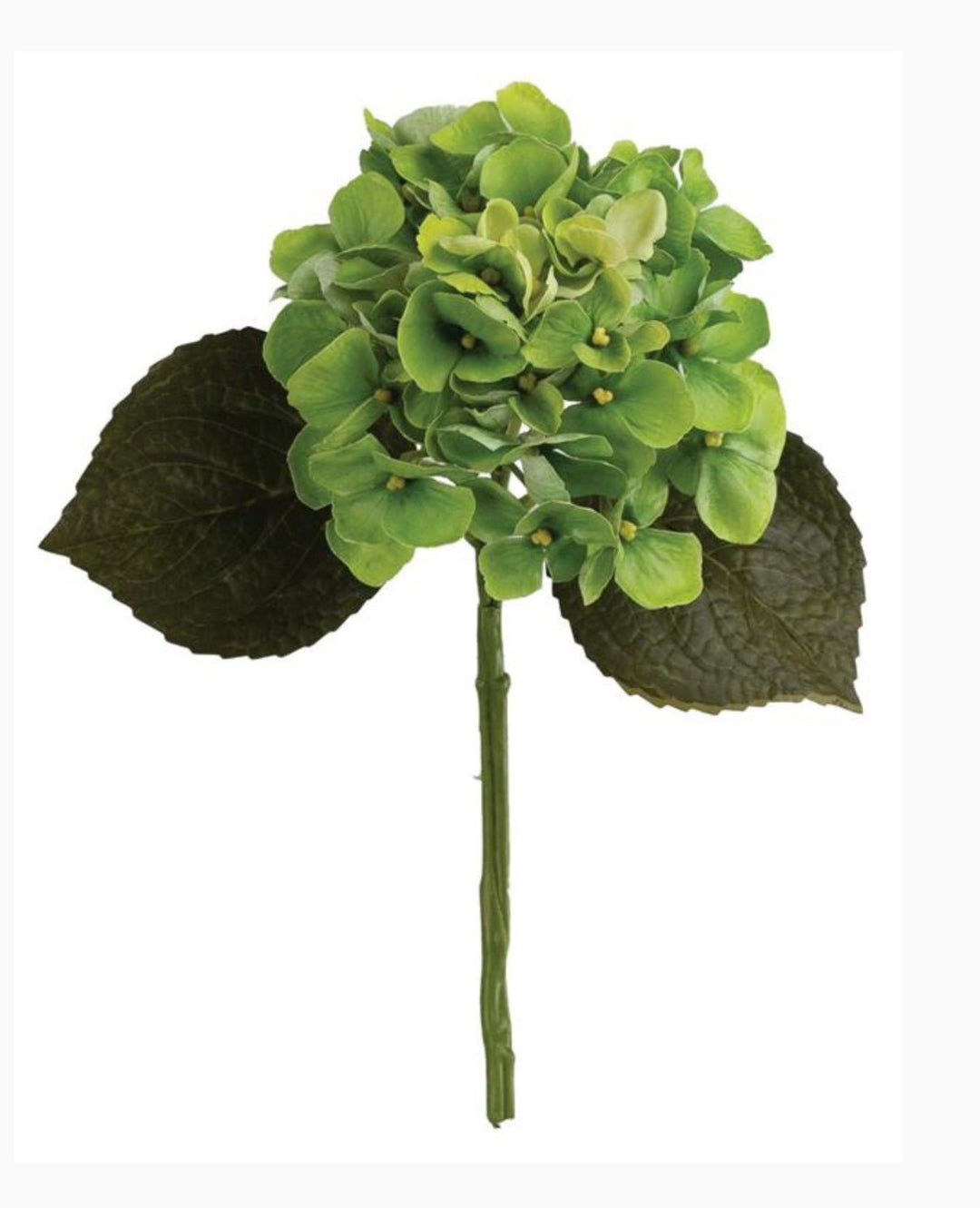 Hydrangeas Stem - Green - Greenery Marketartificial flowers6474 - G