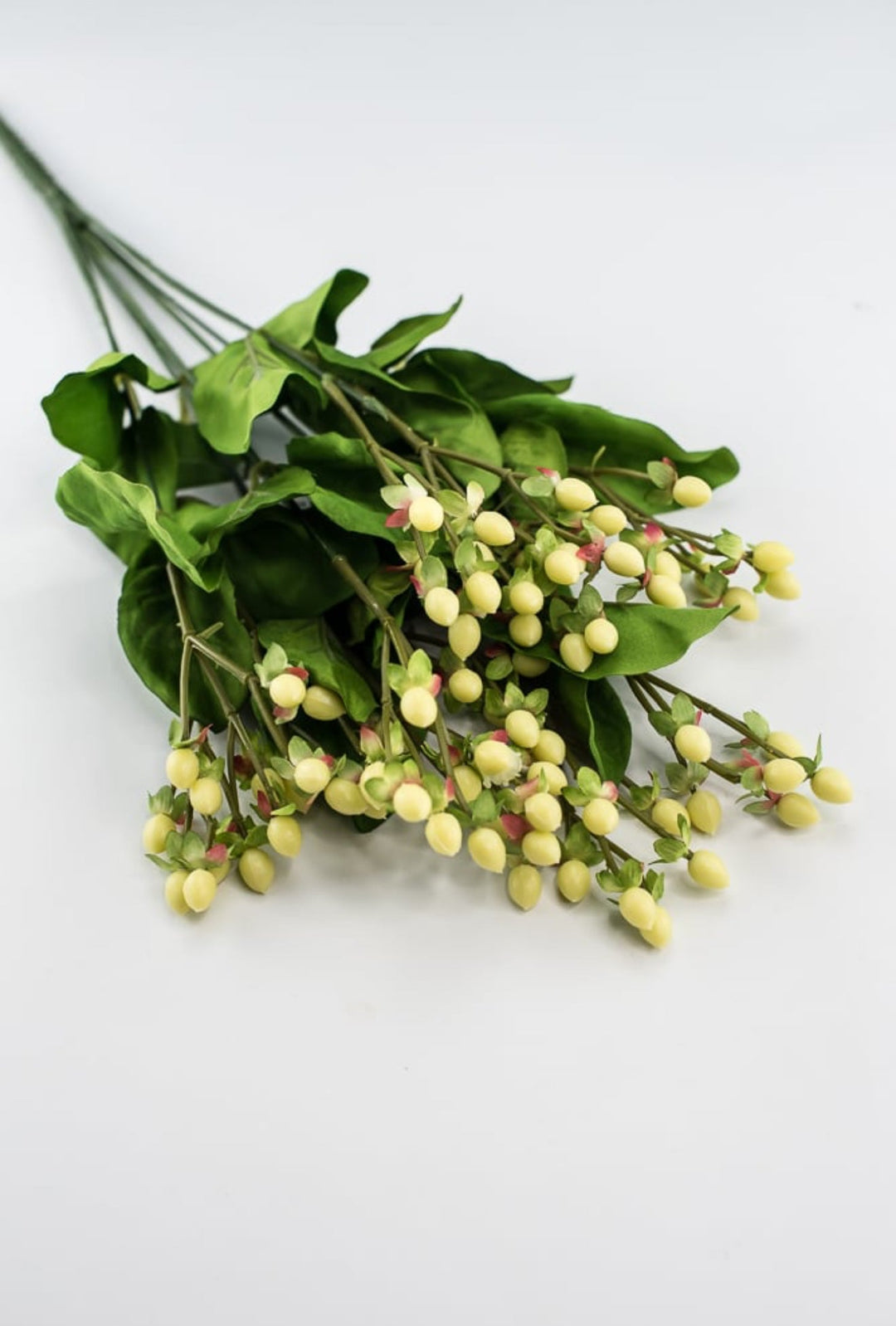 Hypericum bush - Greenery Marketgreenery5574 - C