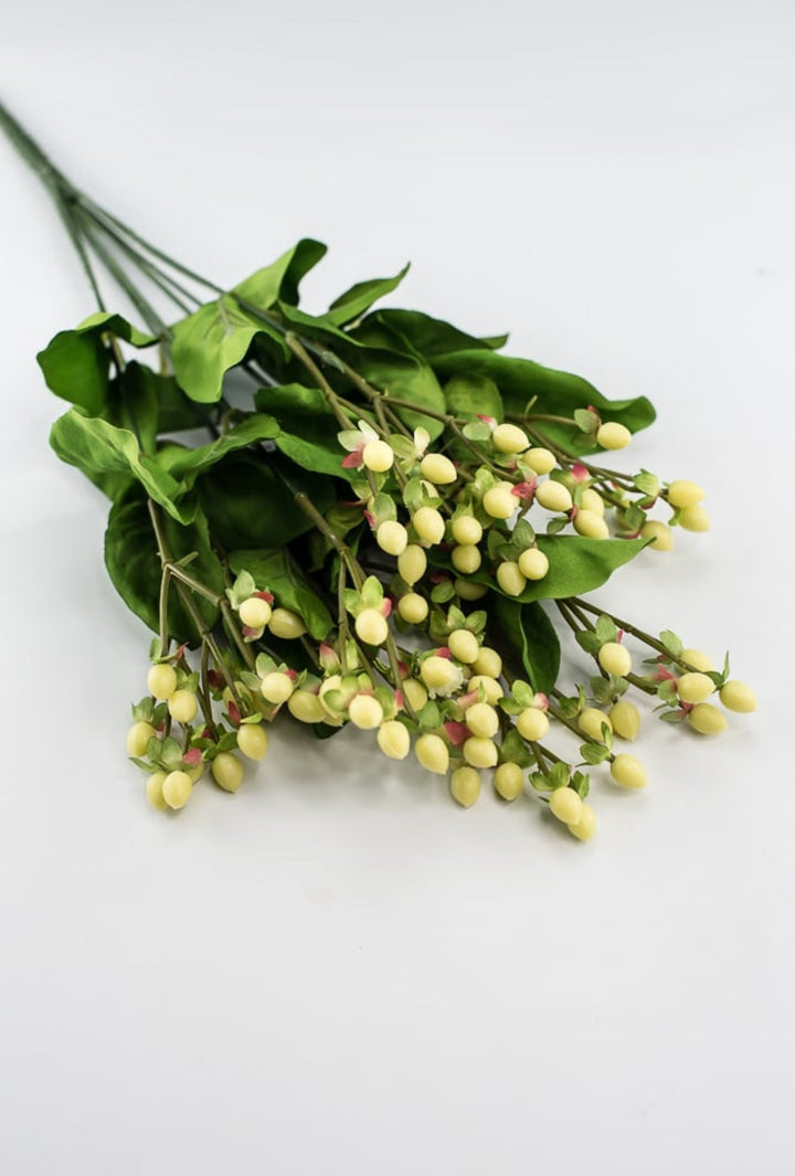 Hypericum bush - Greenery Marketgreenery5574 - C