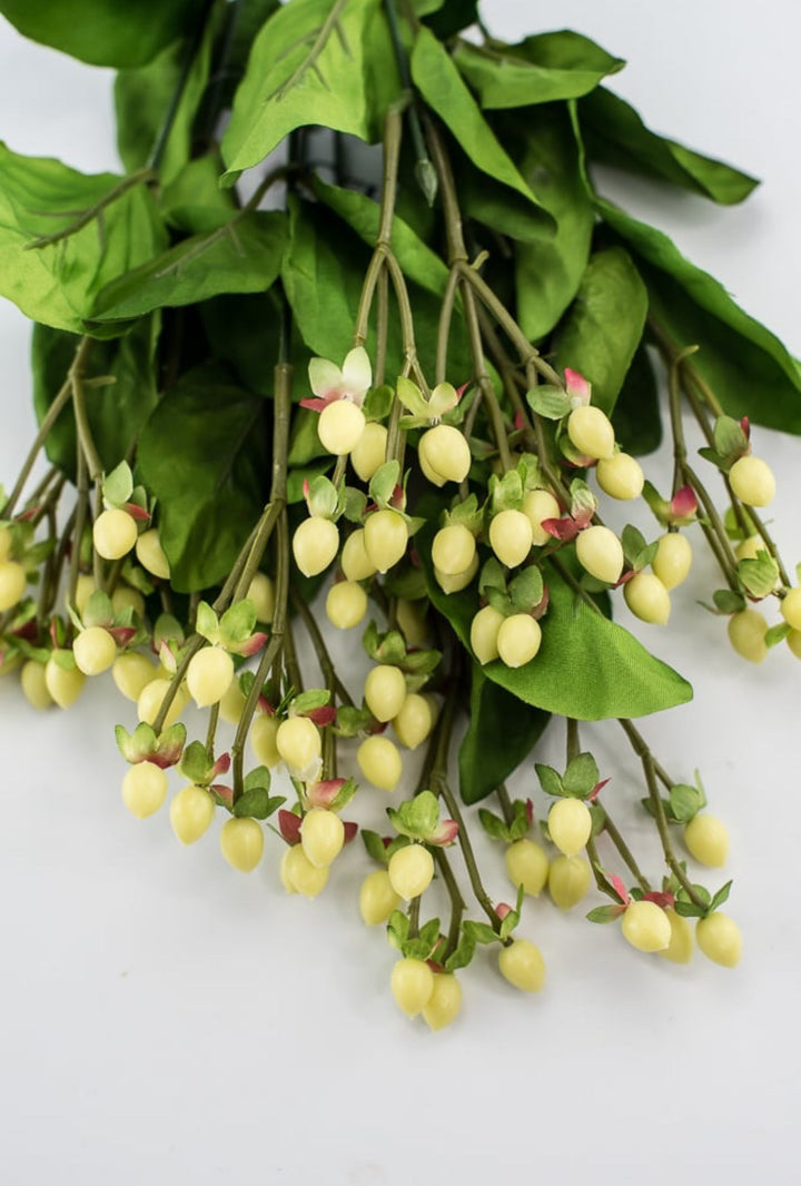 Hypericum bush - Greenery Marketgreenery5574 - C