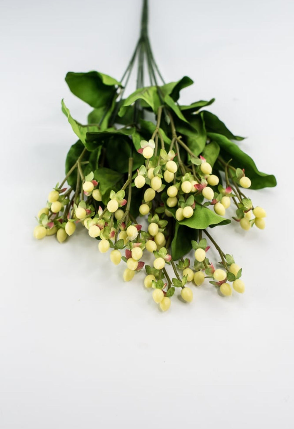Hypericum bush - Greenery Marketgreenery5574 - C