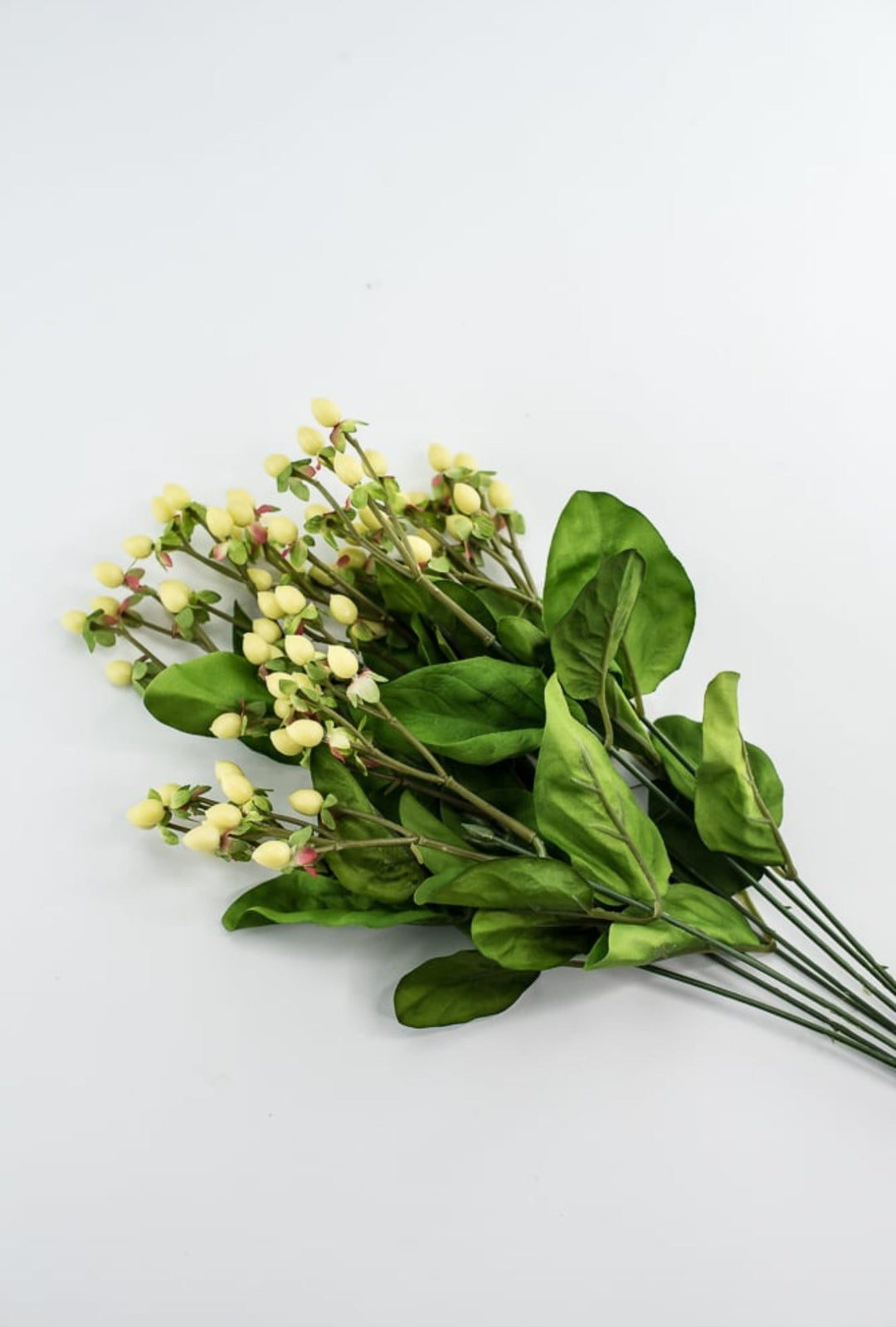 Hypericum bush - Greenery Marketgreenery5574 - C