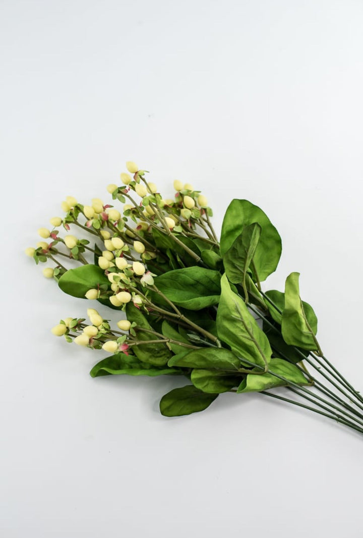 Hypericum bush - Greenery Marketgreenery5574 - C