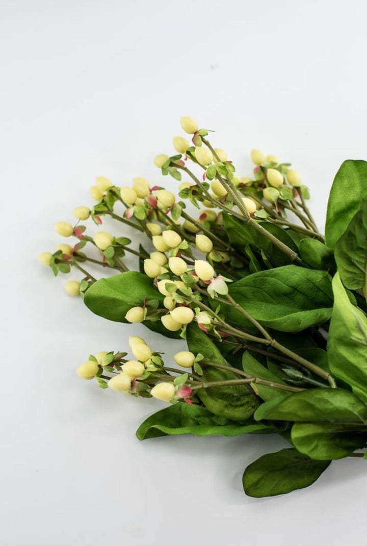 Hypericum bush - Greenery Marketgreenery5574 - C