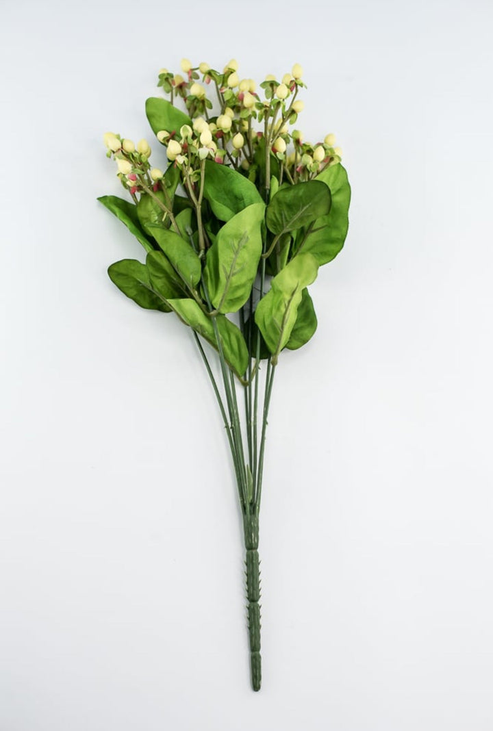Hypericum bush - Greenery Marketgreenery5574 - C