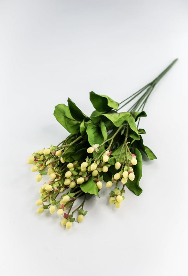 Hypericum bush - Greenery Marketgreenery5574 - C