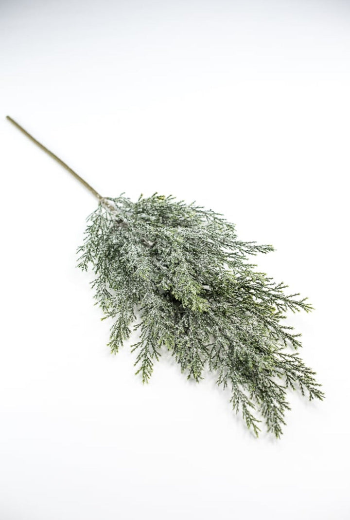 Iced, cedar evergreen spray - Greenery Market84352