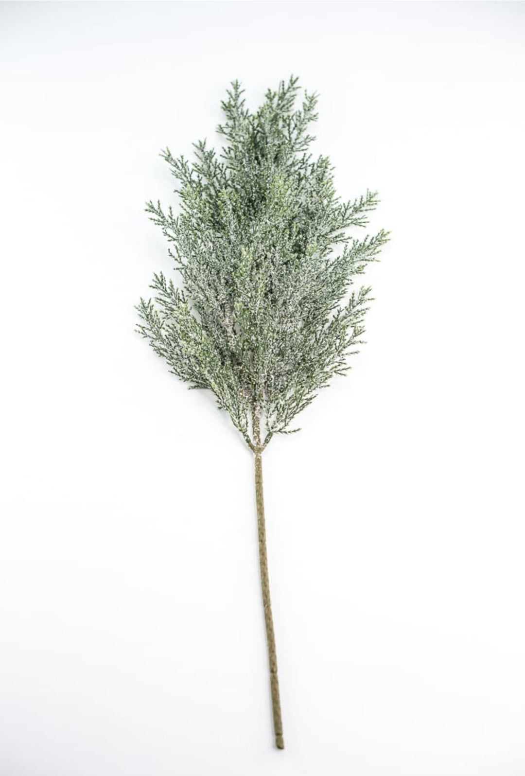 Iced, cedar evergreen spray - Greenery Market84352