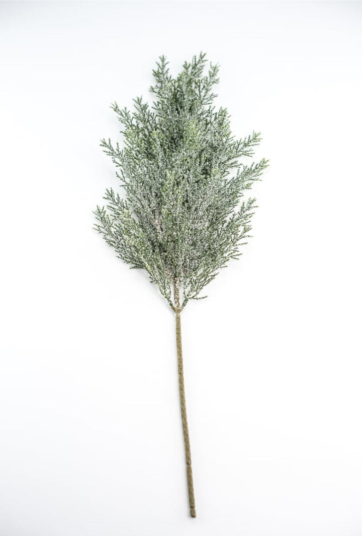 Iced, cedar evergreen spray - Greenery Market84352