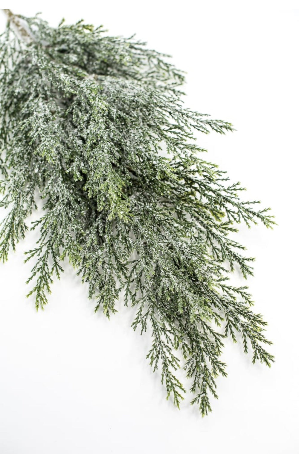 Iced, cedar evergreen spray - Greenery Market84352