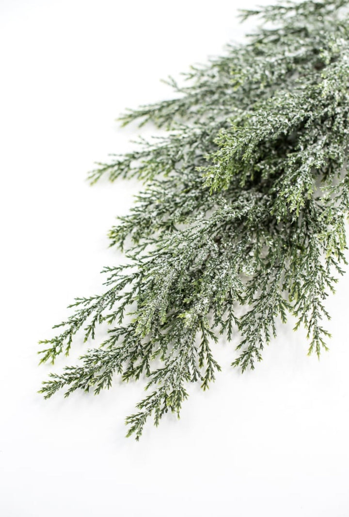Iced, cedar evergreen spray - Greenery Market84352