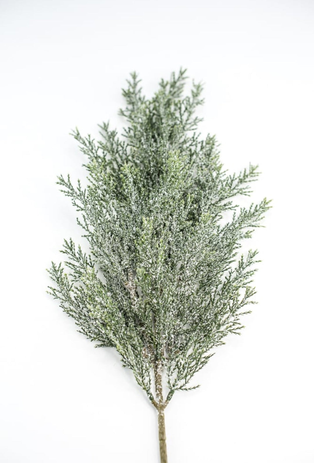 Iced, cedar evergreen spray - Greenery Market84352