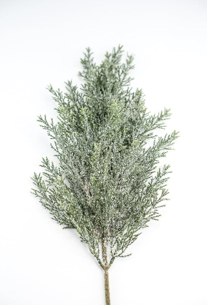 Iced, cedar evergreen spray - Greenery Market84352