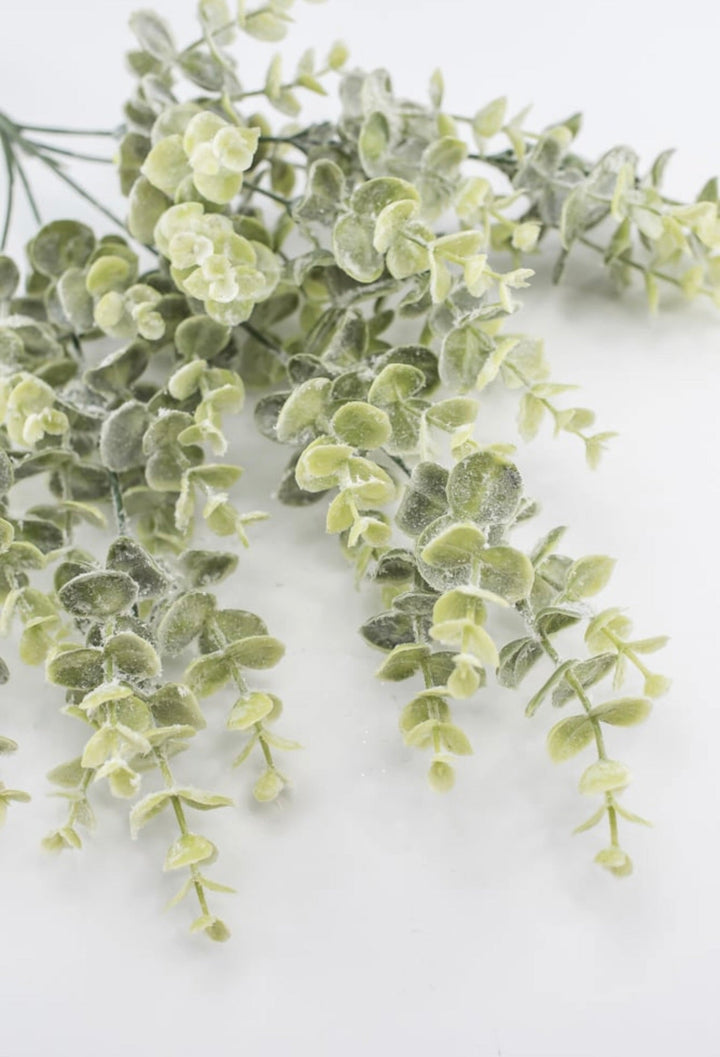 Iced eucalyptus with shimmer - Greenery Marketgreenery84995FROST