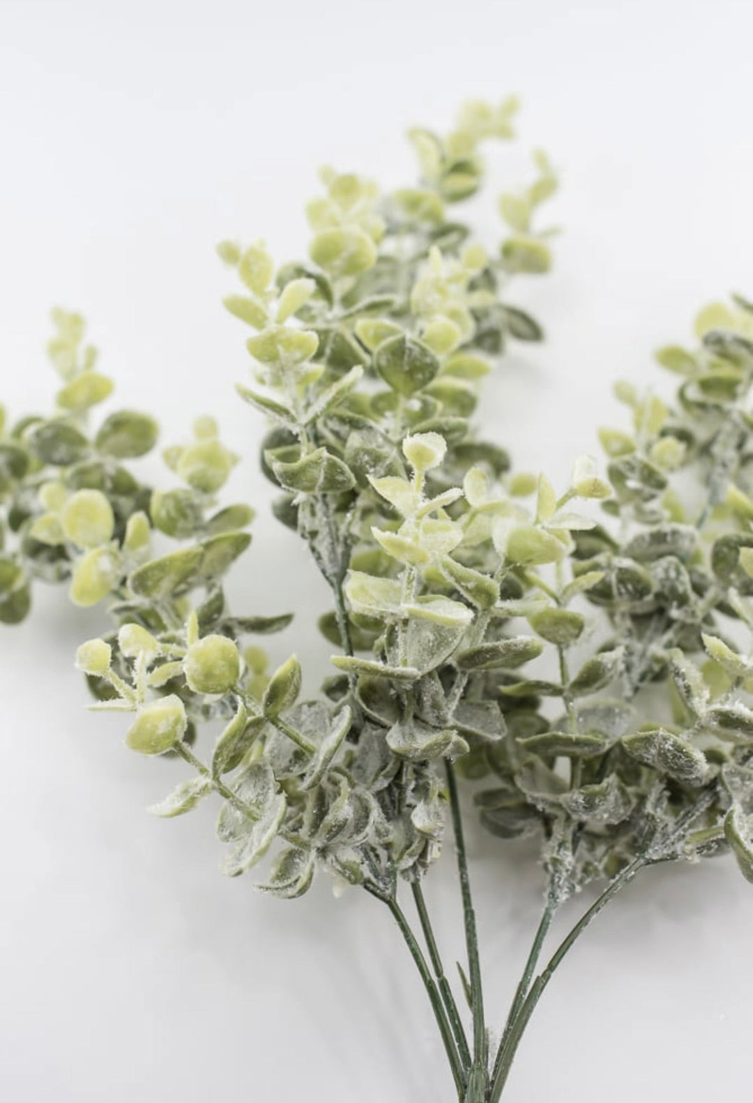 Iced eucalyptus with shimmer - Greenery Marketgreenery84995FROST