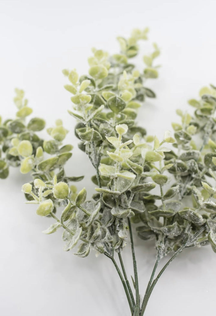 Iced eucalyptus with shimmer - Greenery Marketgreenery84995FROST
