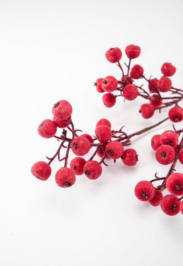 Iced red shimmering berry pick - Greenery Market233037