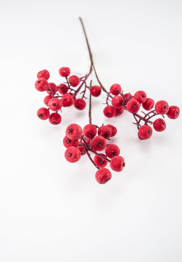 Iced red shimmering berry pick - Greenery Market233037