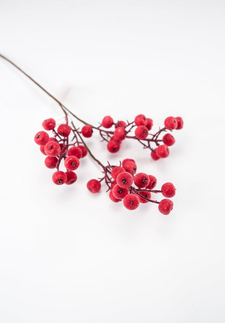 Iced red shimmering berry pick - Greenery Market233037