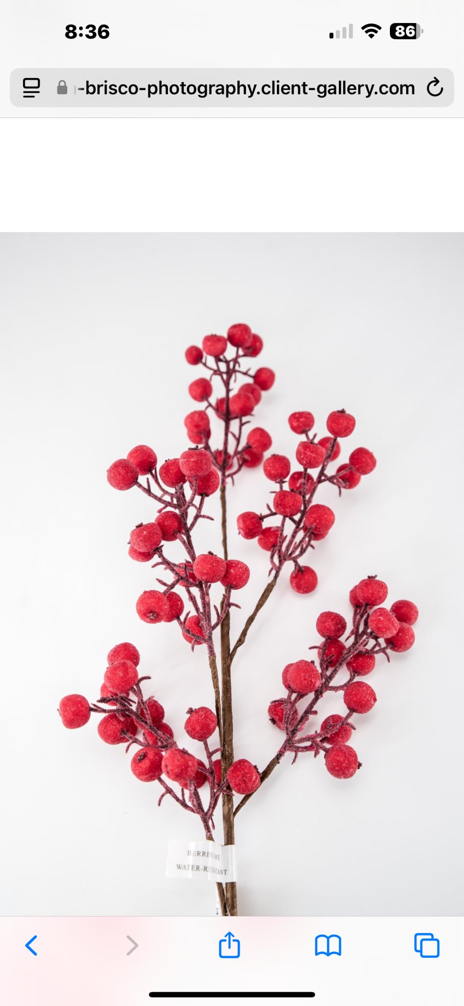 Iced red shimmering berry spray - Greenery Market233032