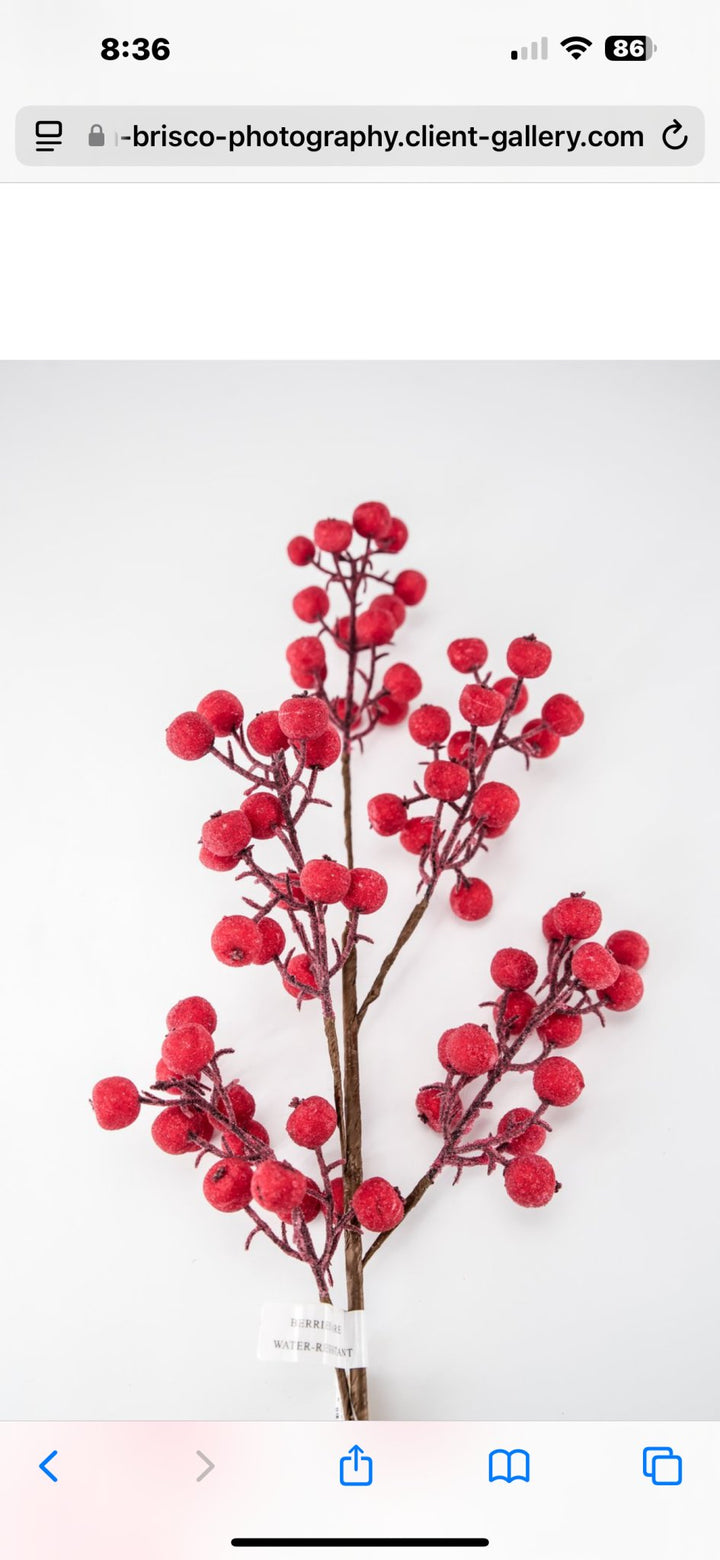 Iced red shimmering berry spray - Greenery Market233032