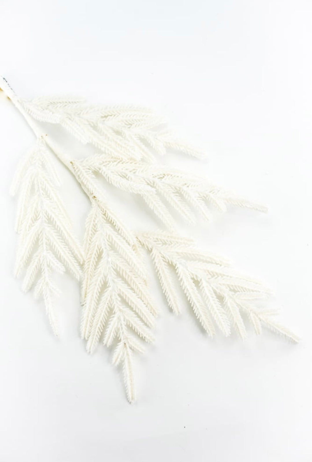 Ivory shimmer Norfolk pine spray - Greenery MarketArtificial Flora235214