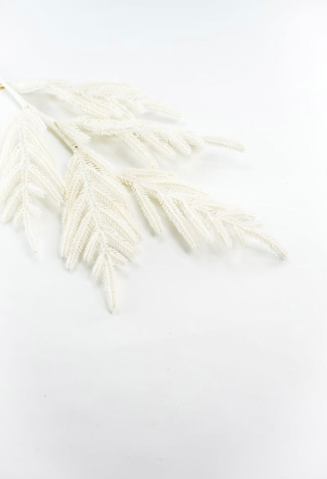 Ivory shimmer Norfolk pine spray - Greenery MarketArtificial Flora235214