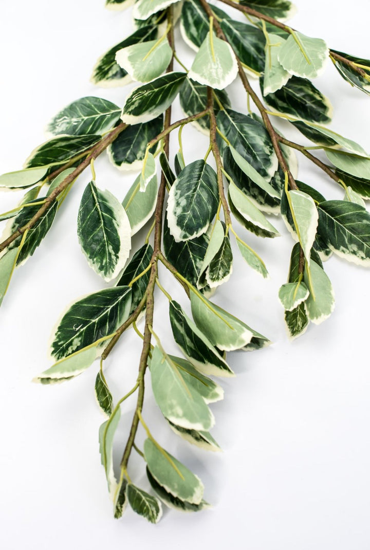 Japanese euonymus leaf spray - Greenery MarketFl6334 - GC
