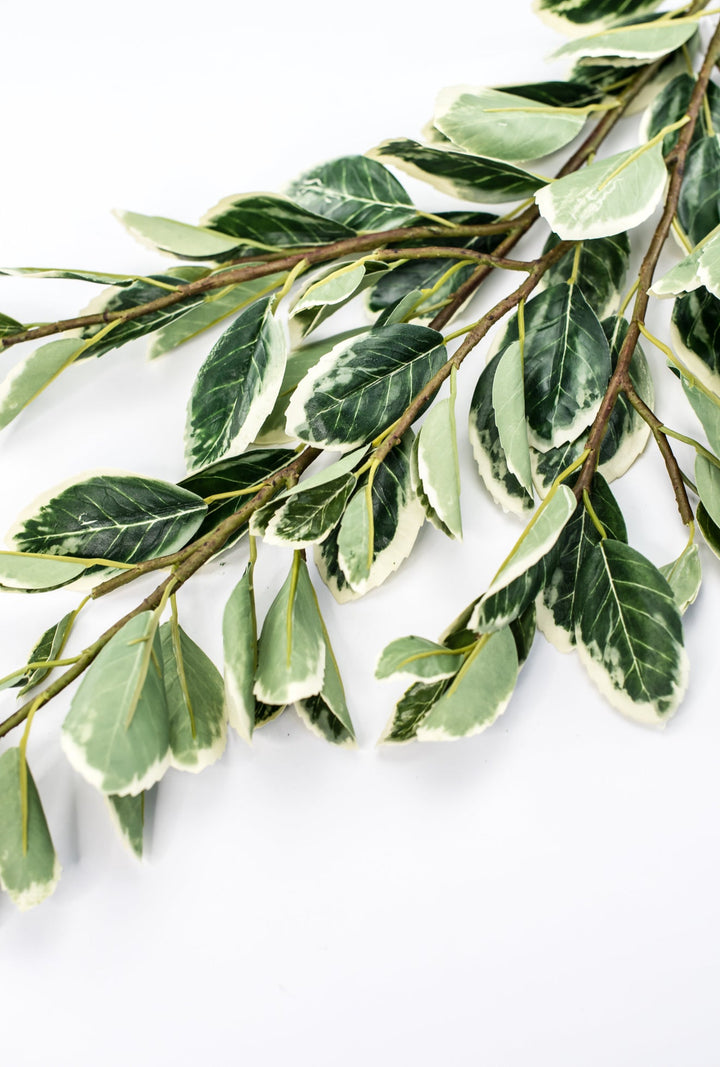Japanese euonymus leaf spray - Greenery MarketFl6334 - GC