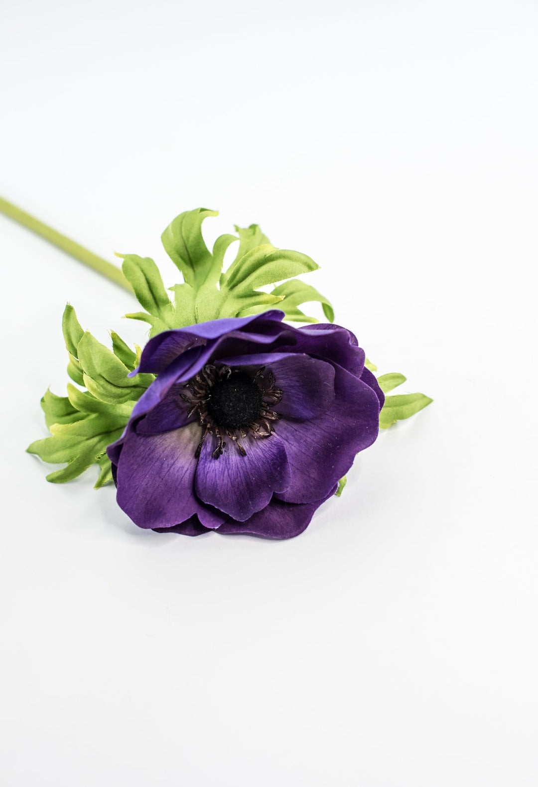 Just cut Anemone stem - purple - Greenery MarketMTF23885 PURP