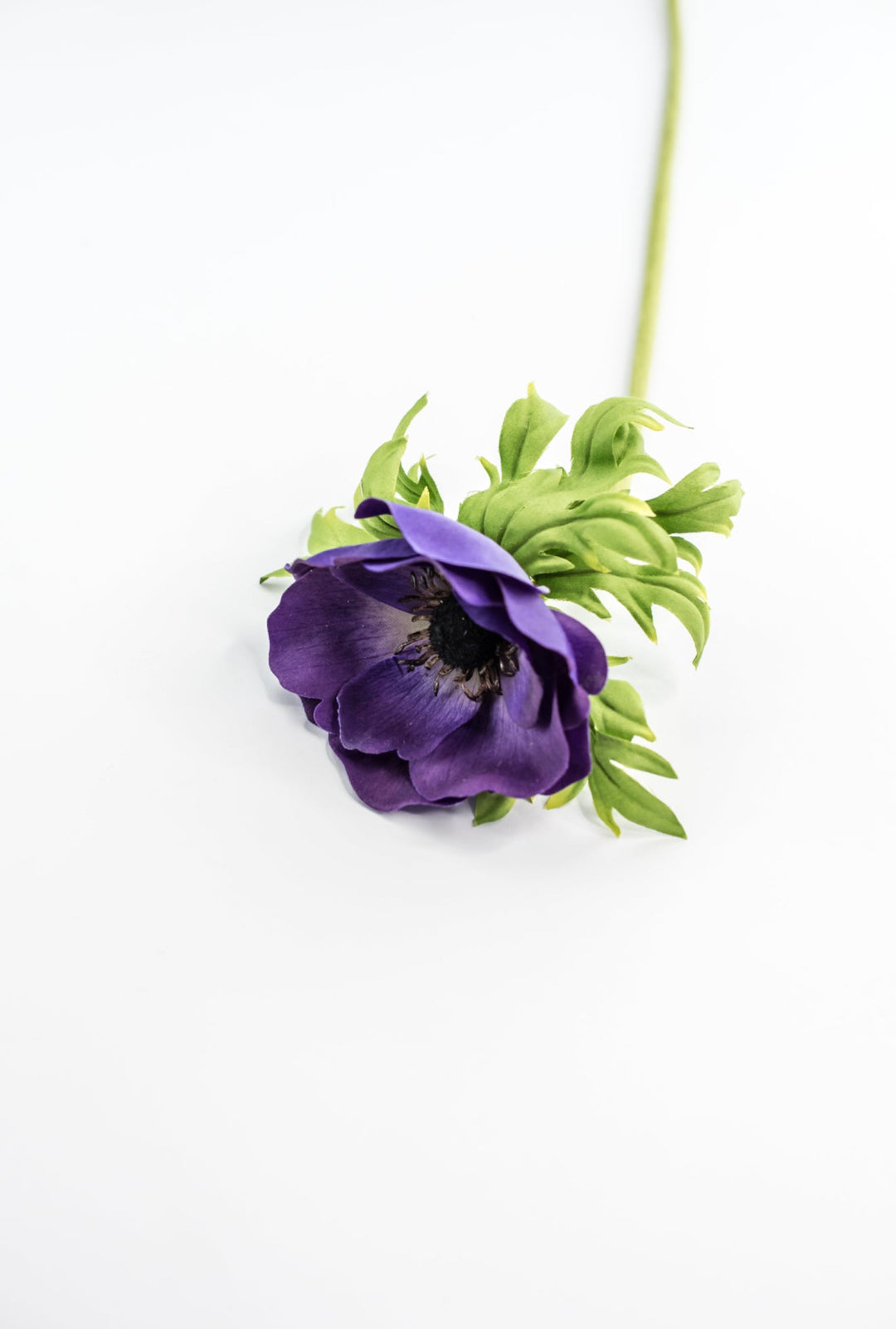 Just cut Anemone stem - purple - Greenery MarketMTF23885 PURP