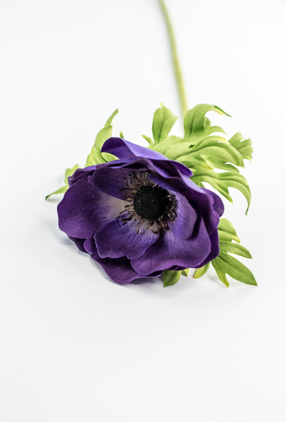 Just cut Anemone stem - purple - Greenery MarketMTF23885 PURP