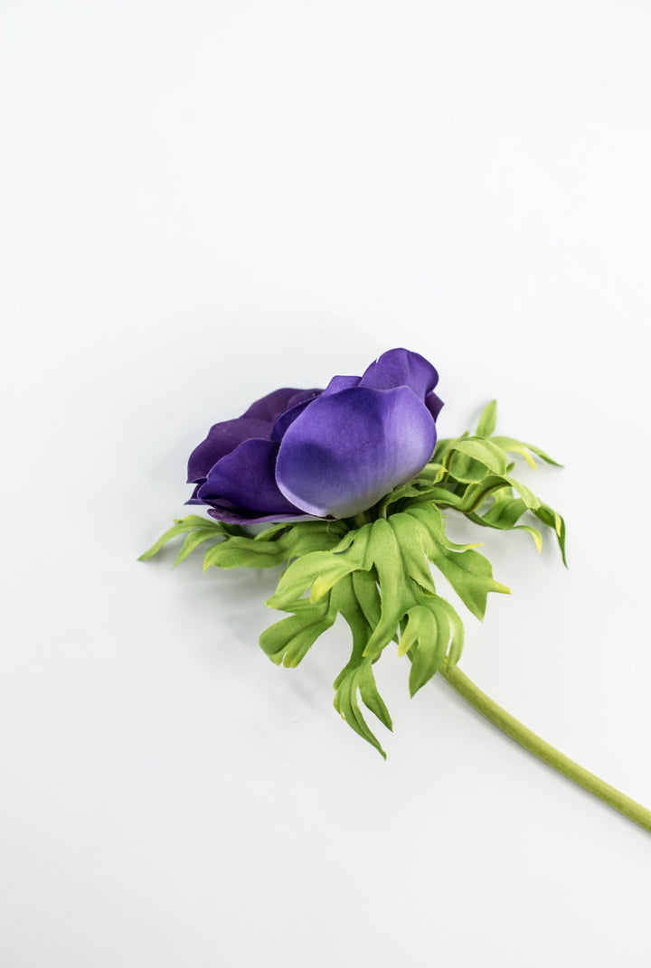 Just cut Anemone stem - purple - Greenery MarketMTF23885 PURP
