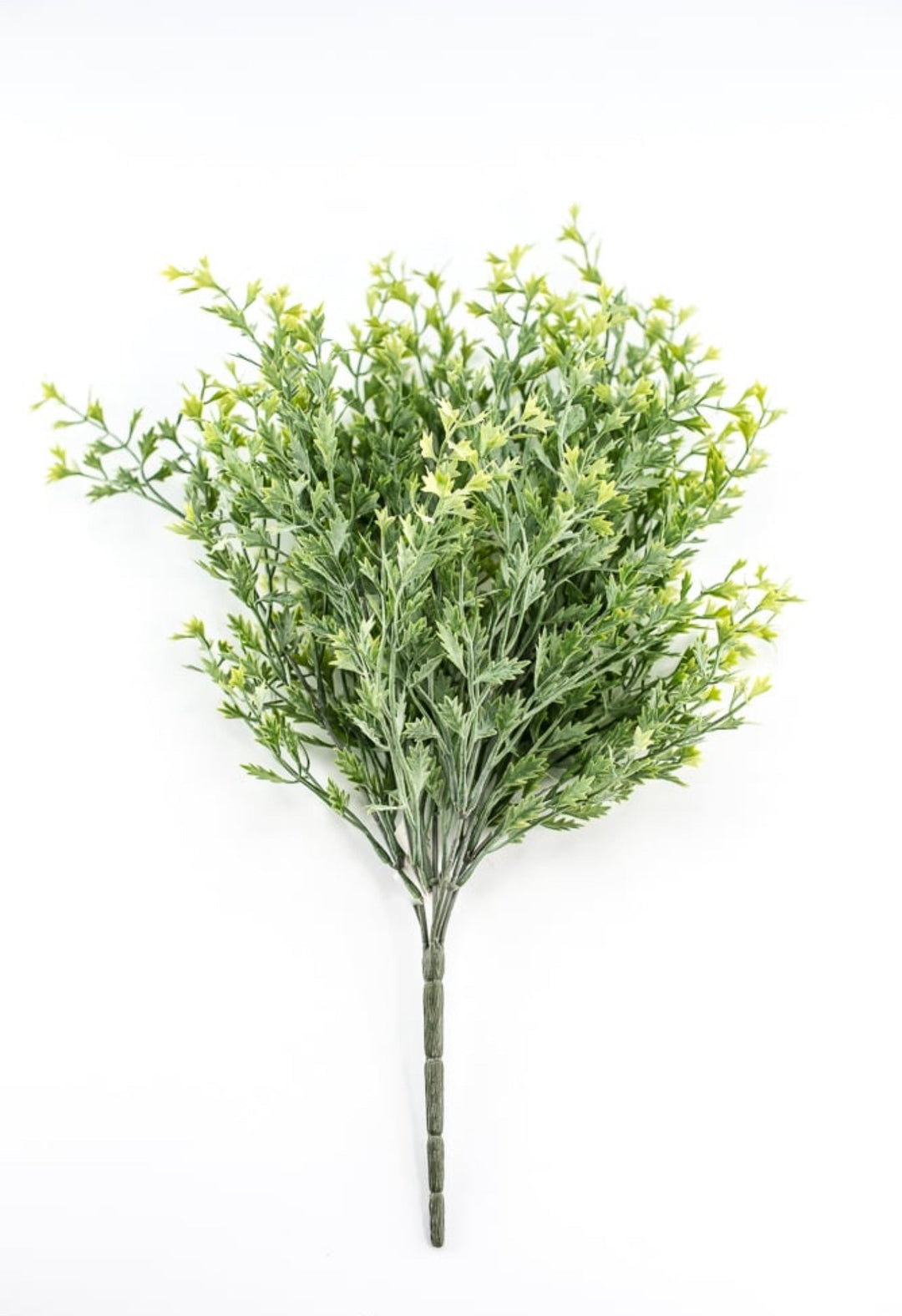 Kiwi greenery bush - Greenery Market26952