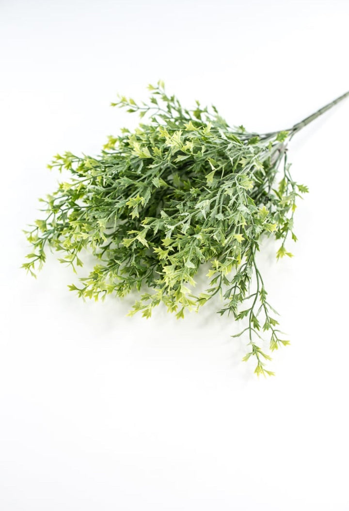 Kiwi greenery bush - Greenery Market26952