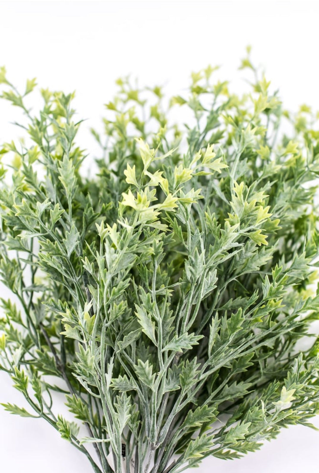 Kiwi greenery bush - Greenery Market26952