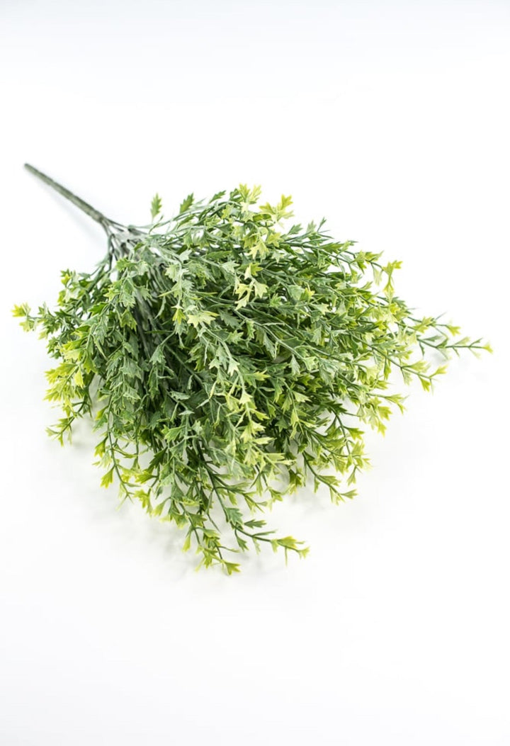 Kiwi greenery bush - Greenery Market26952